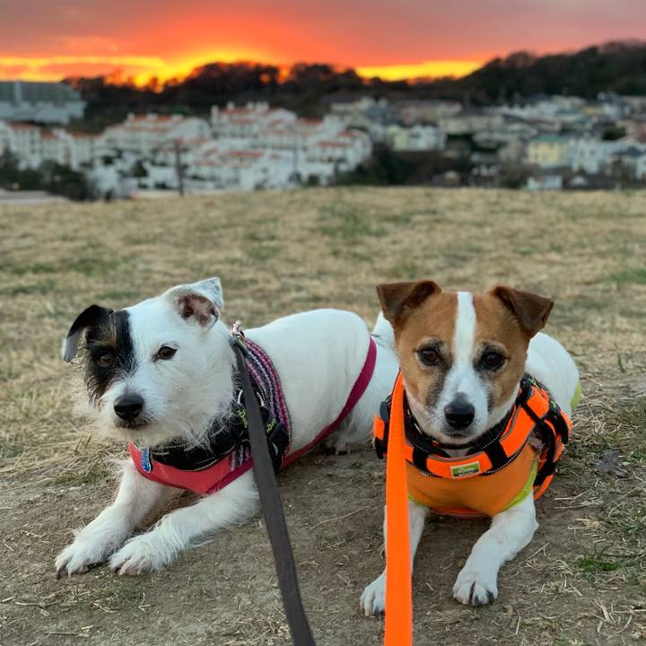 626afc93 29d7 420e 8408 42e0e49c575d 1548146724909