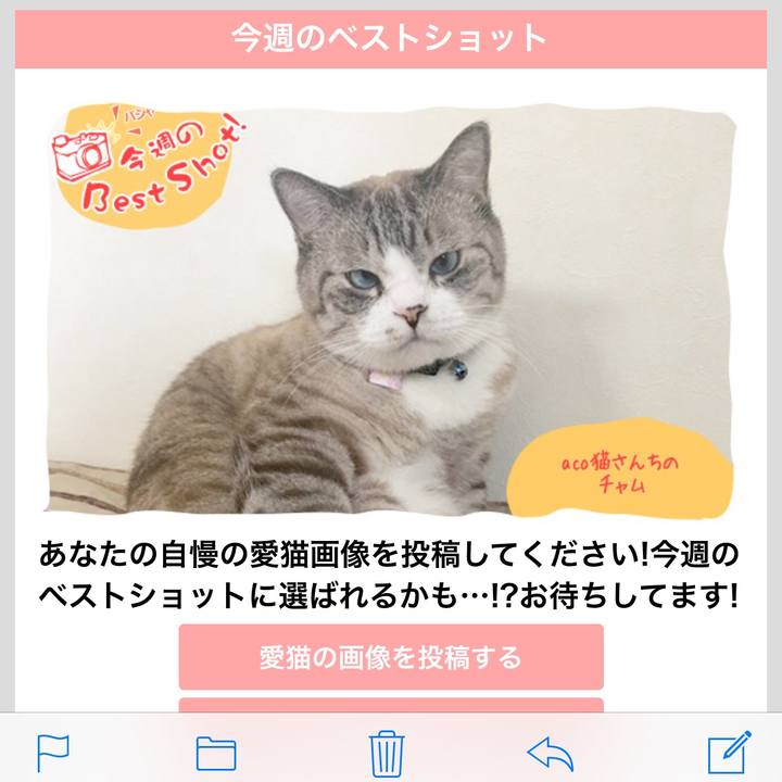 626b4cea 5005 4d27 979a 027eecf23c96 1521773974575