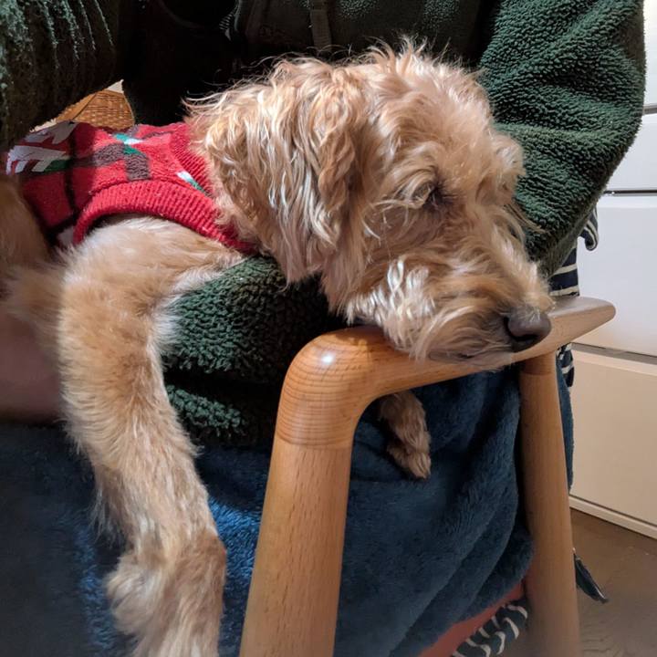 626b6203 42b5 440b 9e59 1ec5cacde196 1764468712280