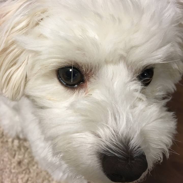 626b740e 8fa1 48f7 840b 856d3eca5fdf 1568205984609