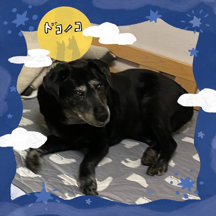 626c0d44 1e74 47c6 88cc c34dc1a0690a 1727225820318