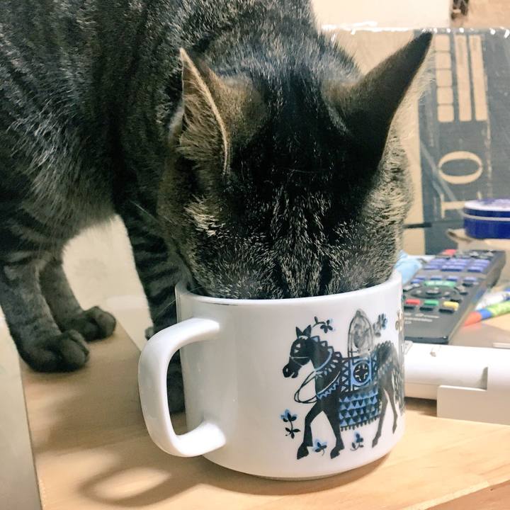 626c0f31 b4ff 4d90 adeb 38587cdc7d90 1527778412237