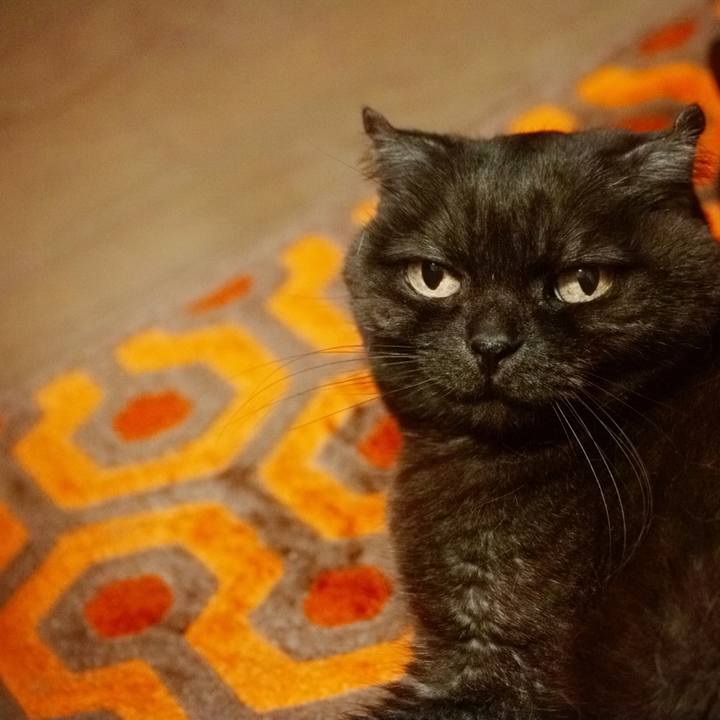 626c62f7 e9de 435b 8dce 29d202f57769 1617890119039