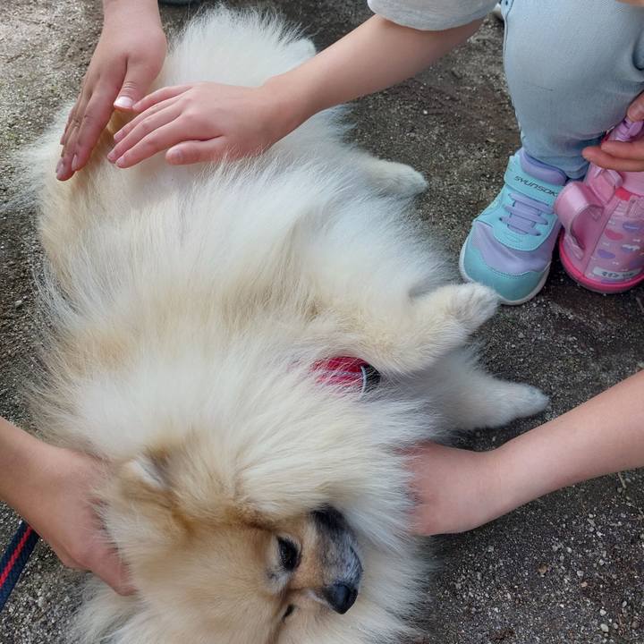 626c8e5e 4051 4a0f bb37 f2b9552eb702 1747722159442