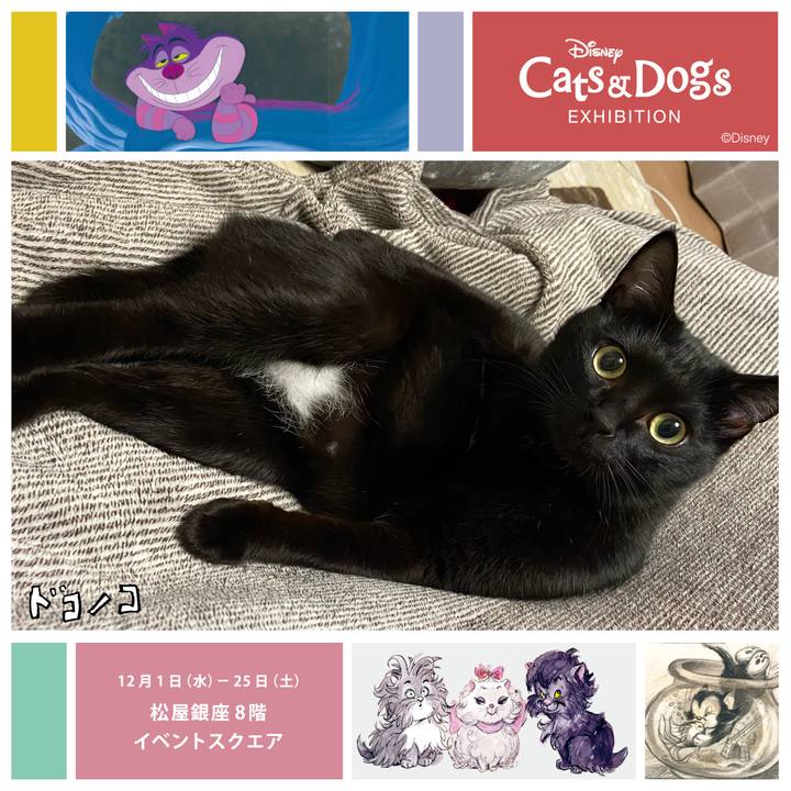 626c9ff9 96dd 406b 9658 53fec037c042 1638874585590