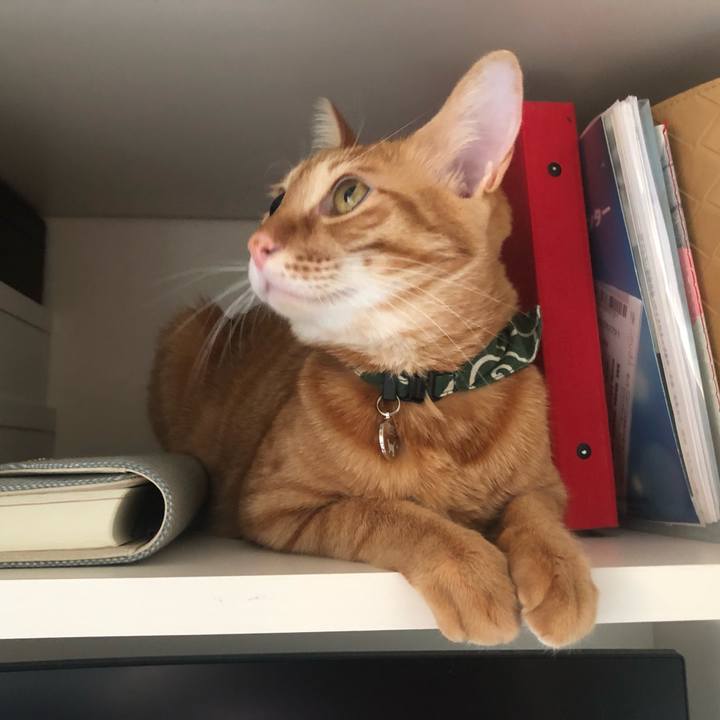 626ca38f df84 464a 8595 10530af5bb7b 1639223390454