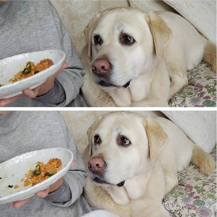 626cda03 cb1c 40d3 82f7 ed99b945e89a 1741232477629