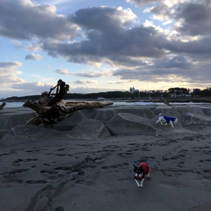 626cde59 2208 4ace b3a3 0e61509c1862 1579913687740