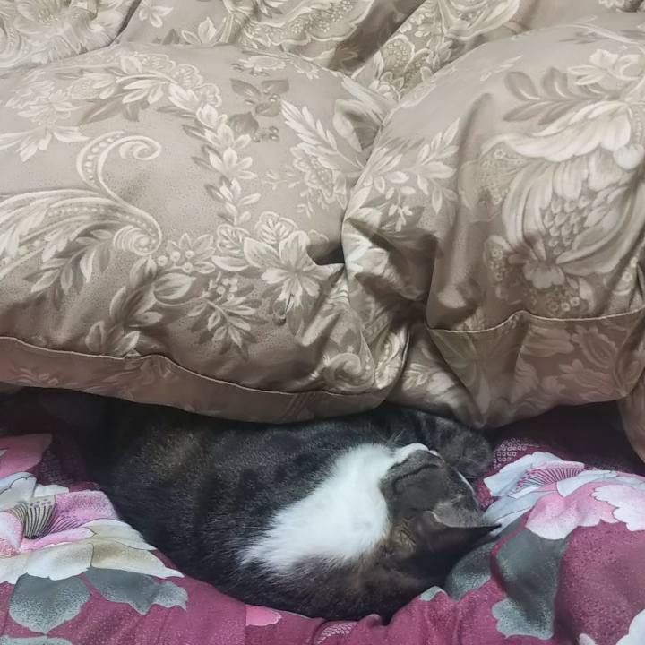 626d070b 244e 41f0 b7f1 72fdacfcd40b 1611420335877