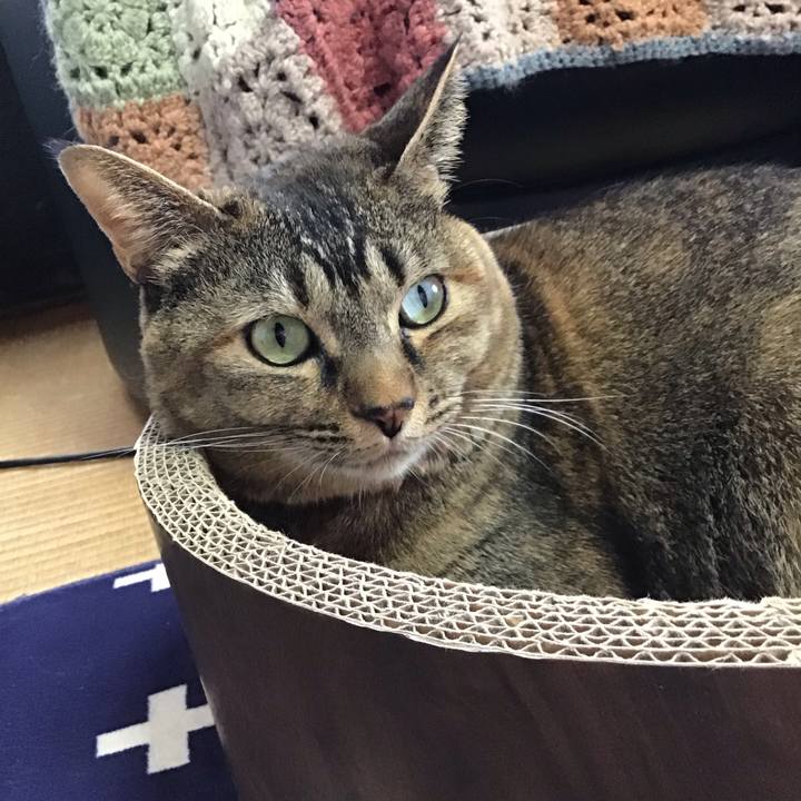 626d25b6 8561 4334 ad27 a19de792d6be 1703988888022