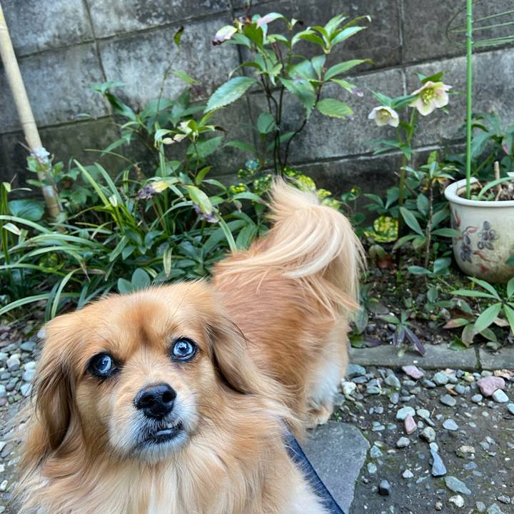 626d2f38 4d30 4fa6 b202 bef1cb062065 1583963457601