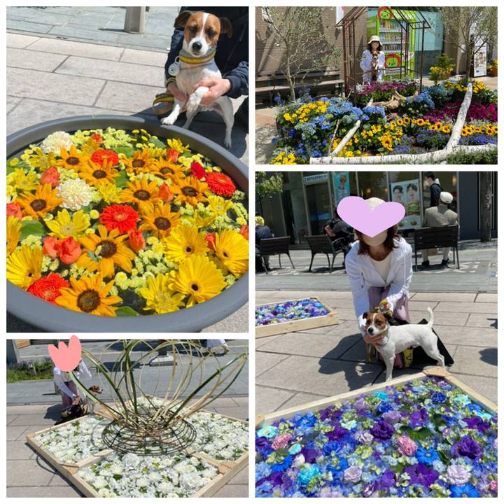 626d98f0 6792 4ac4 a597 d263f4a13832 1651557860715