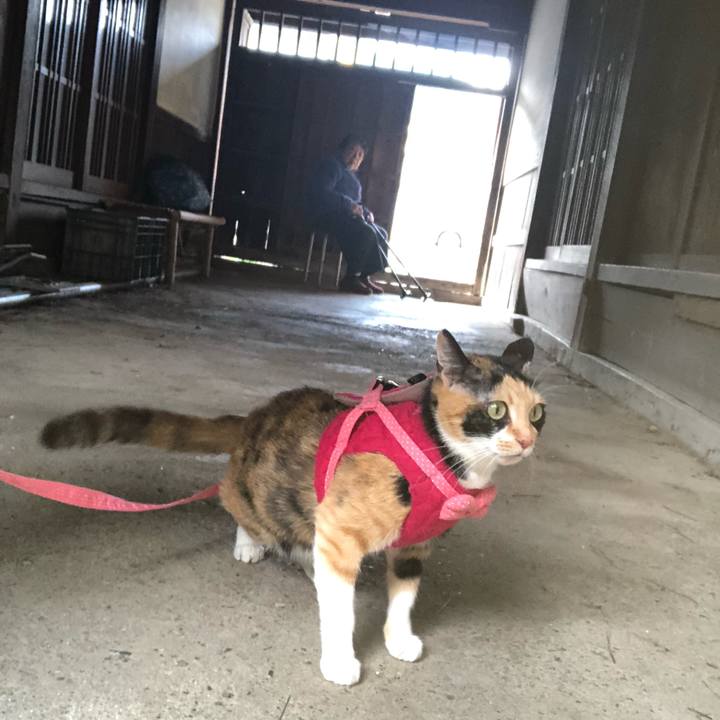 626dab7c 765f 4afe baef d286bece09b8 1604383597318