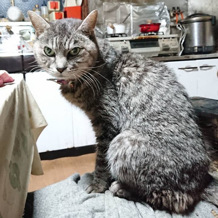 626defb0 3652 487b ac3a e2869f9d5c2a 1579294637136