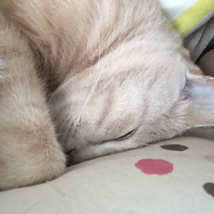 626e07e3 7743 4a8c 8d8e 38813fb11d59 1550016473025