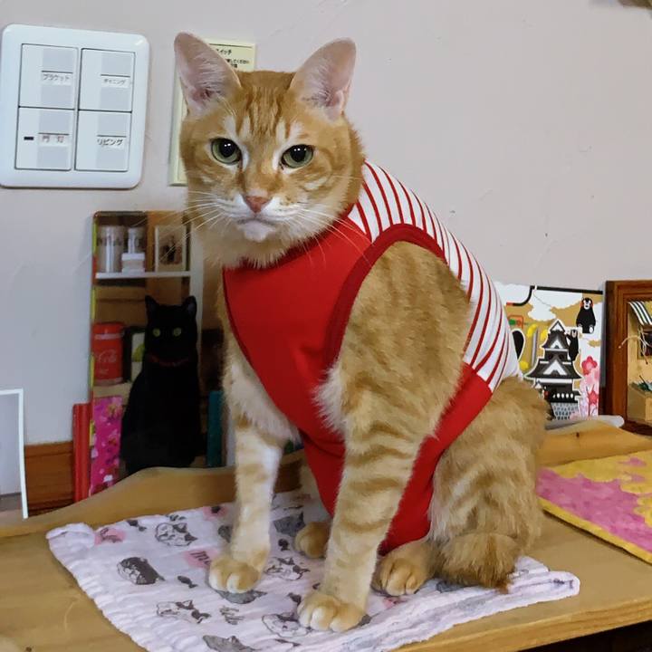 626e66f3 bbc7 40ef b5c7 ee0662708fe5 1575377782091