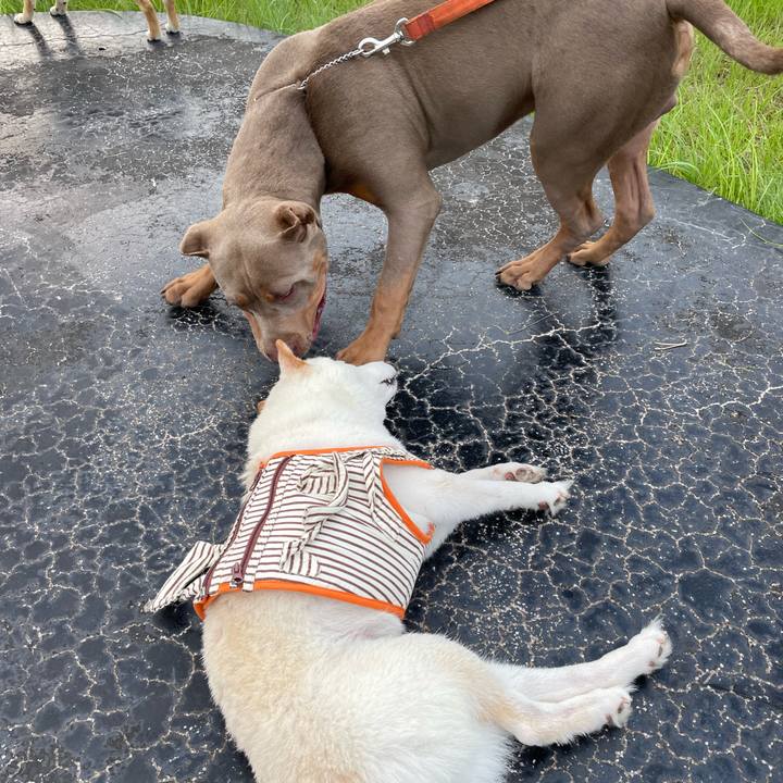 626e76ee c37b 492e b29d 5dd9980d96bc 1655982651315