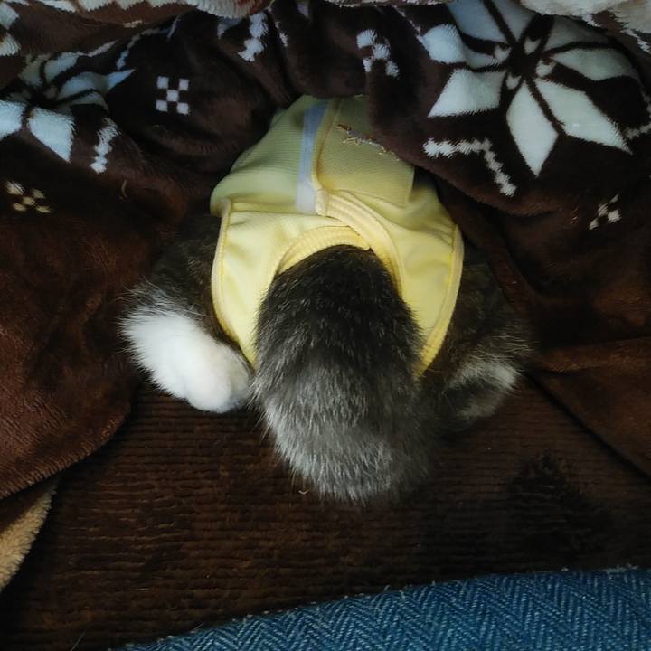 626e88ae 0046 4deb 95f9 9694c1c1b3b6 1584425370682