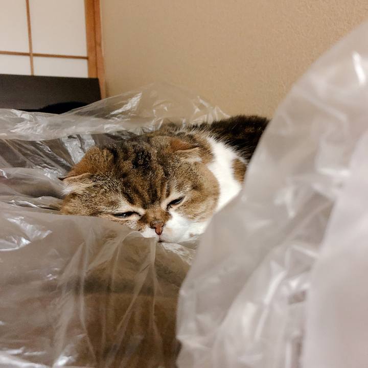 626e8e92 640f 4c48 85bb b0742104adcc 1558094502892