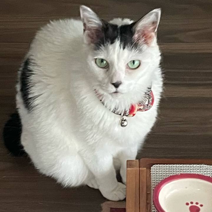 626e976f d223 4228 85dd e8f867e2c4d1 1748091346229