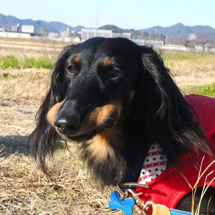 626ebc95 cfce 4689 ae0e ebf2512a0267 1512524916650