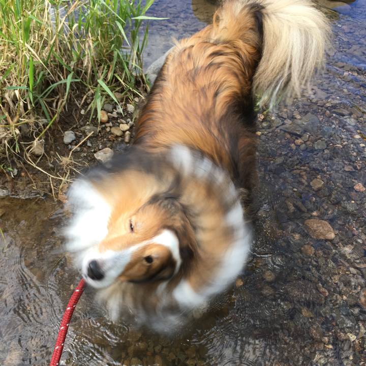 626ec1c1 d78c 4e8a a98f b6e941f04c16 1582469424287