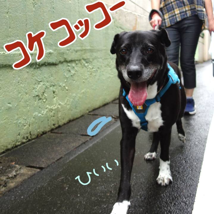 626ed3b5 14d8 4a2d a7ea f7d20ffd178e 1721004184055