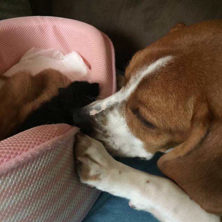 626ee687 bb80 464b bc96 6ce991e6209f 1531708116603