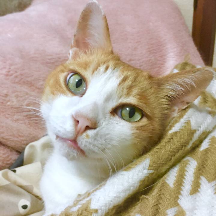 626f13d7 c2c3 427f 9207 140109b679a2 1563698343941