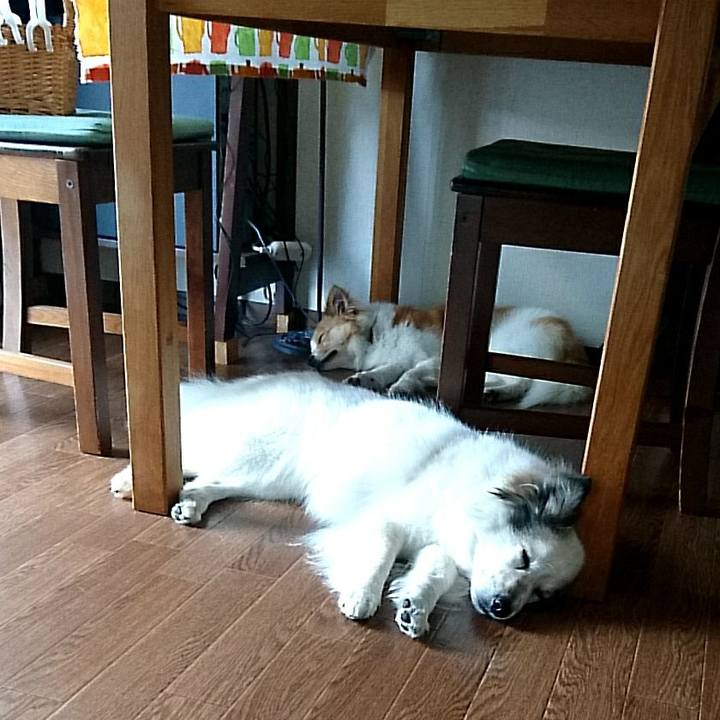 626f6634 a193 4b7a ae52 aae9302f2810 1527133239684