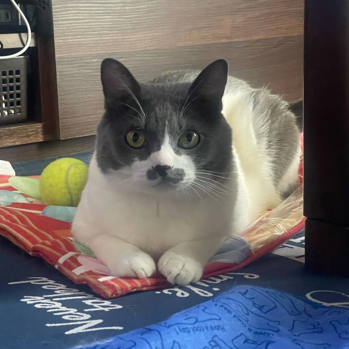 626f7d62 ef78 4ee0 9505 aef4921ed633 1694048408896