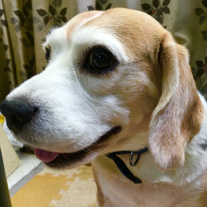 626f7e81 8aed 4f28 994b f7d128c949c7 1748593551595