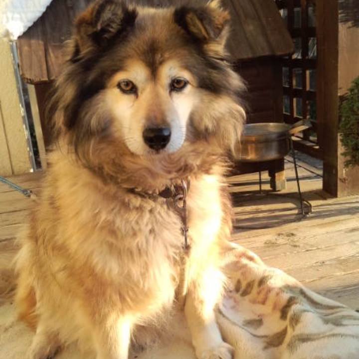 626f8b49 646e 4a0d a9ab 5a3a92feef96 1597546171305