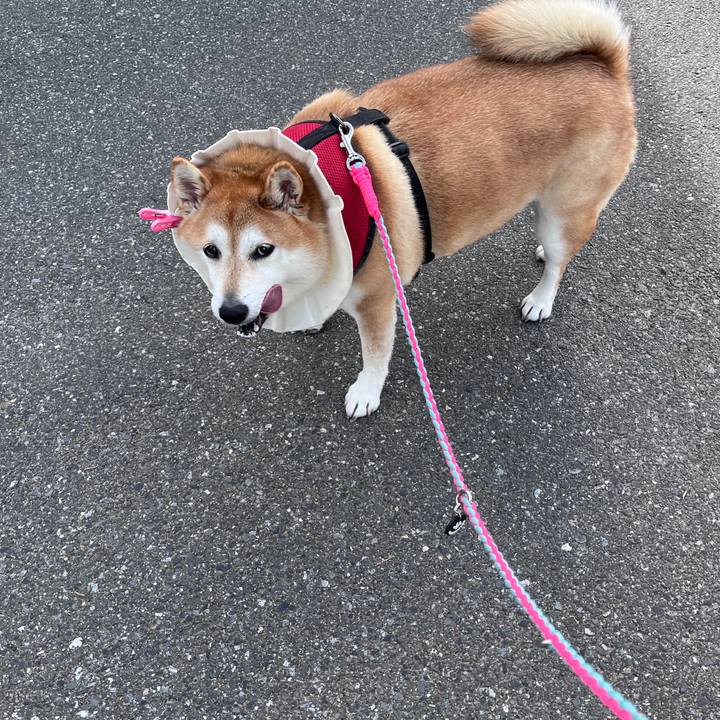 626fbe9b 41cd 49b1 b751 b4d2c24ba098 1705892995874