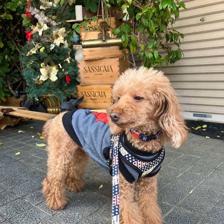 626fcc2c 35dc 4788 962a bf1fce12d89e 1668067127960