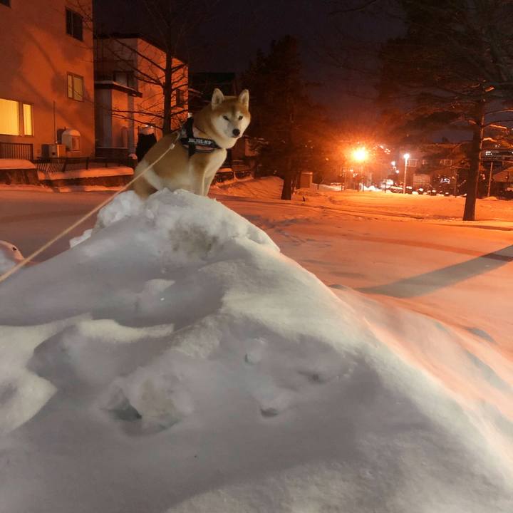 626fd006 eb5b 4089 92e2 35429b1300b1 1547025582190