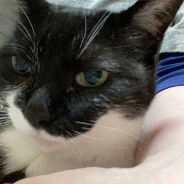 627010bc 64b5 4df4 8a36 5d61ddb7899a 1684434921149