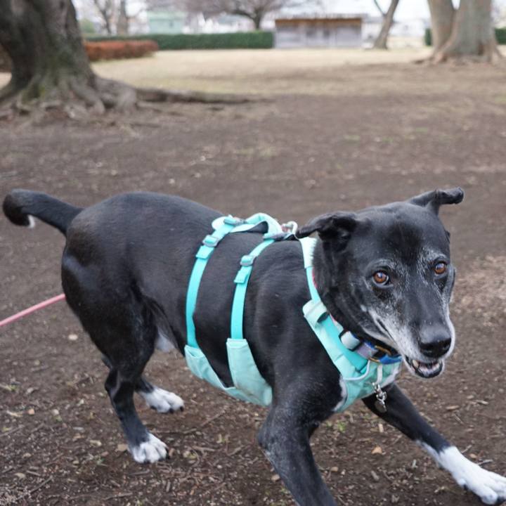 6270122c c915 4450 8874 b085aee63003 1772757064658