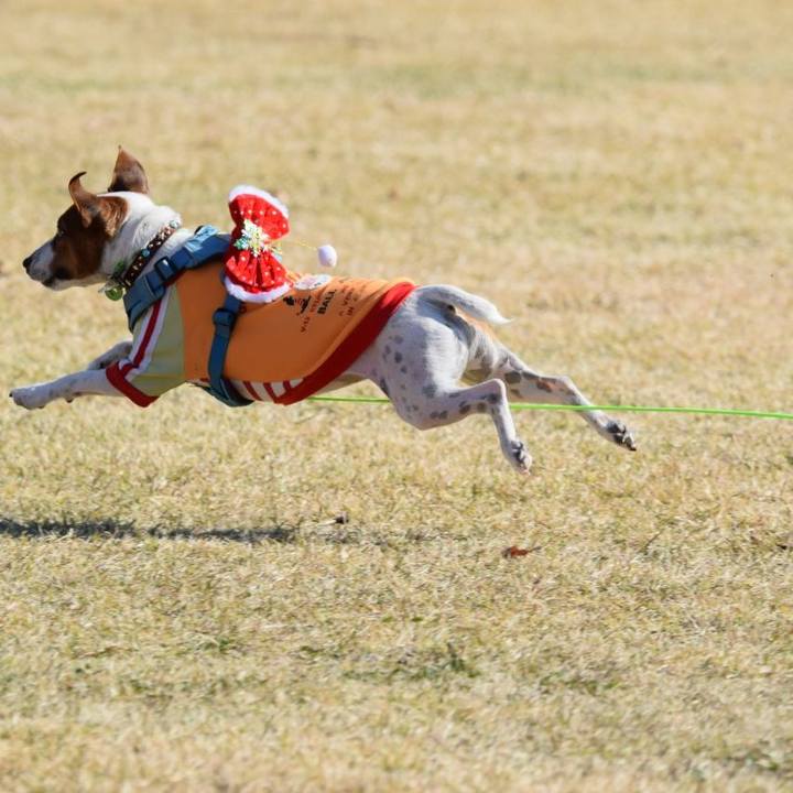 62701da3 ab32 4735 8160 a10b00eed141 1638708720846