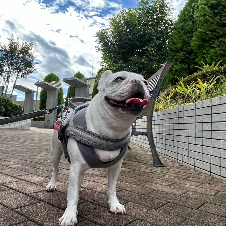 62703b8b c351 4752 886a 725717996fea 1696909696230