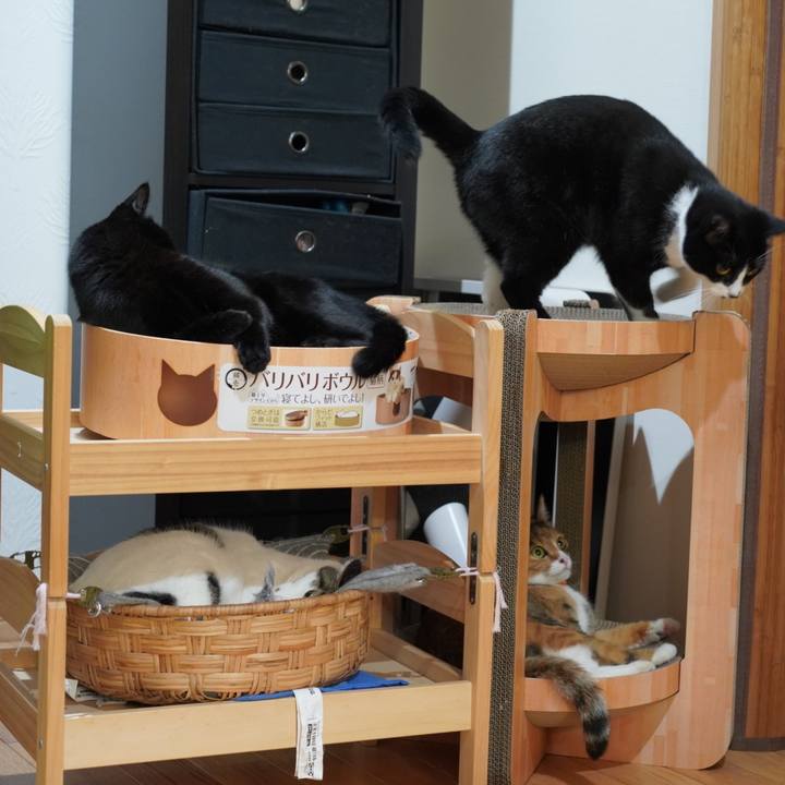 627057e7 2e4e 4c98 8678 f5fb5576797d 1624937836493