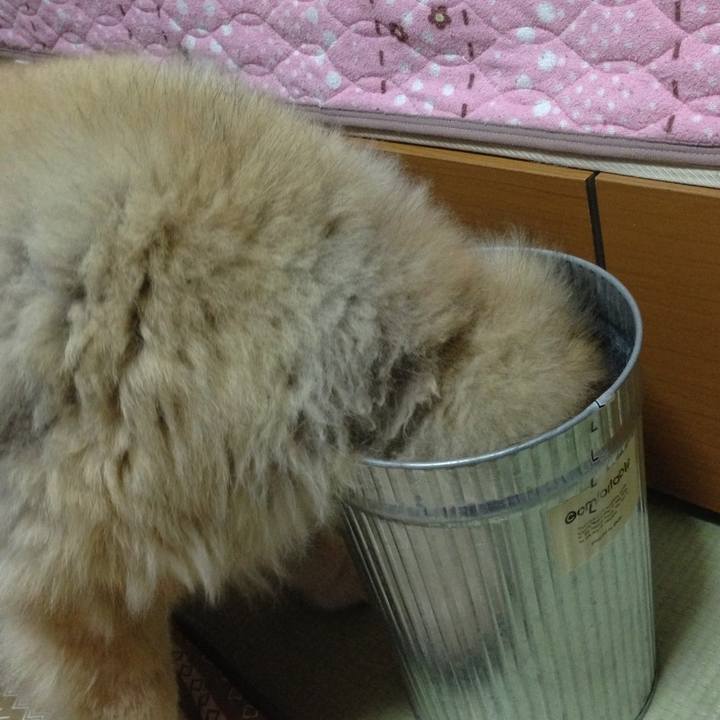 627067ec 0ec6 41f5 b763 ab6861b9e9a2 1568571892867