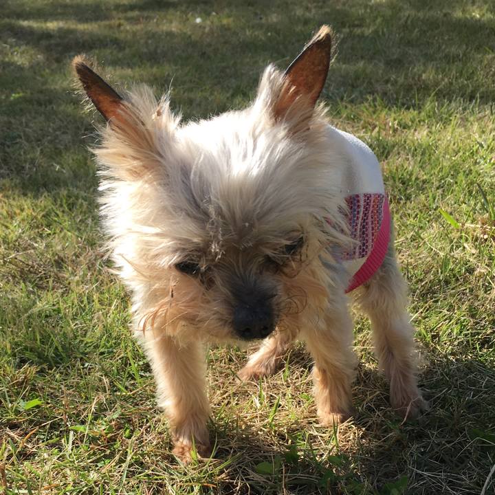 62707dec a23f 4756 bd75 322a2b2bf831 1509803857252