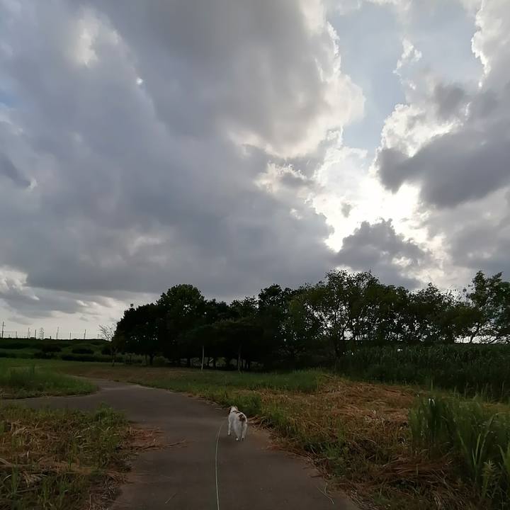 62709a8e 398d 41fc 8c25 a97977e289f8 1593337225236