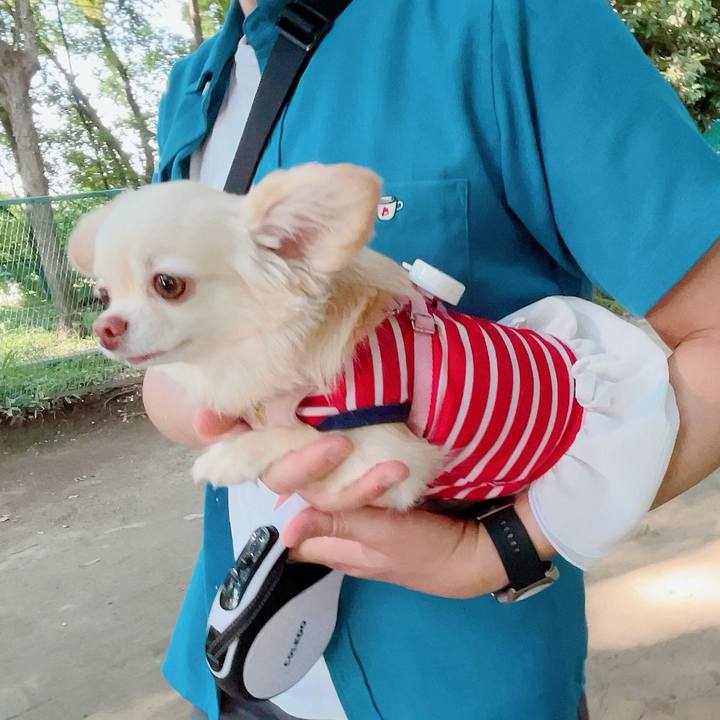 6270b125 225b 4b32 9691 d0894fd97872 1717250272070