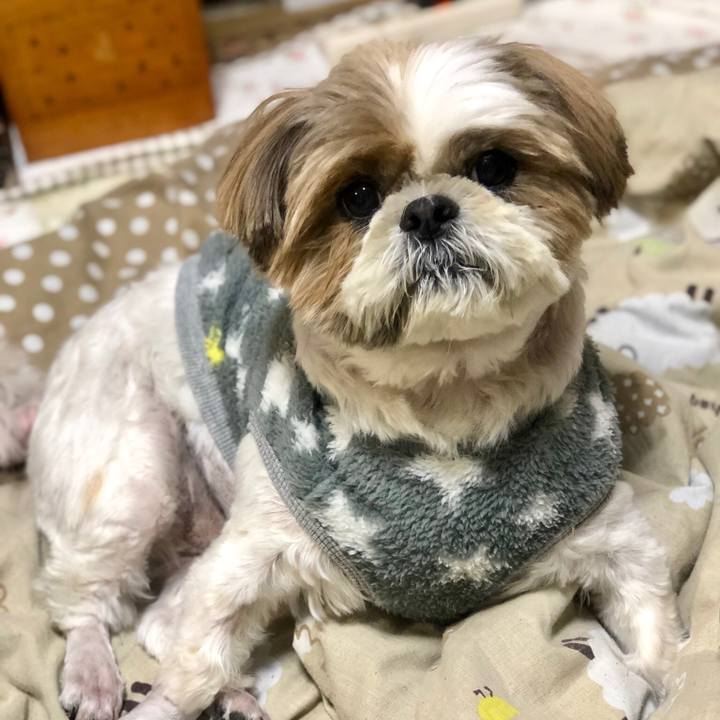 6270d794 a24c 45d5 ab10 447c12781184 1545460973835