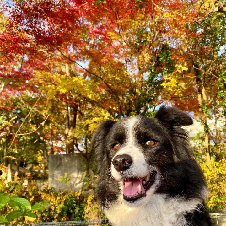 6270eb07 4d69 49b2 b338 c042b7b9a9f9 1605742199281