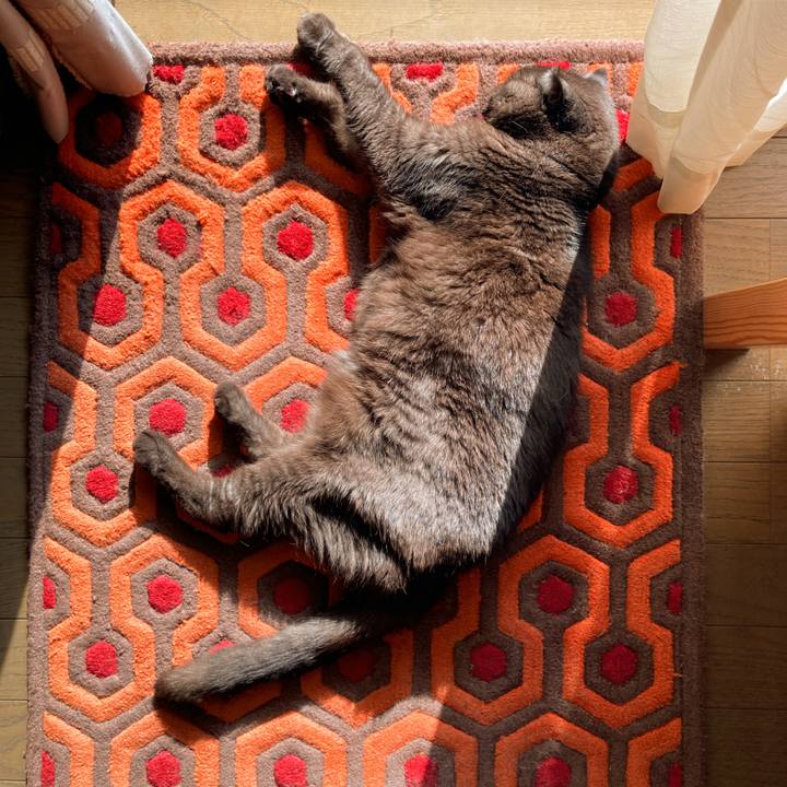 627119e2 0200 40d4 8225 b36616fe3477 1622365760460