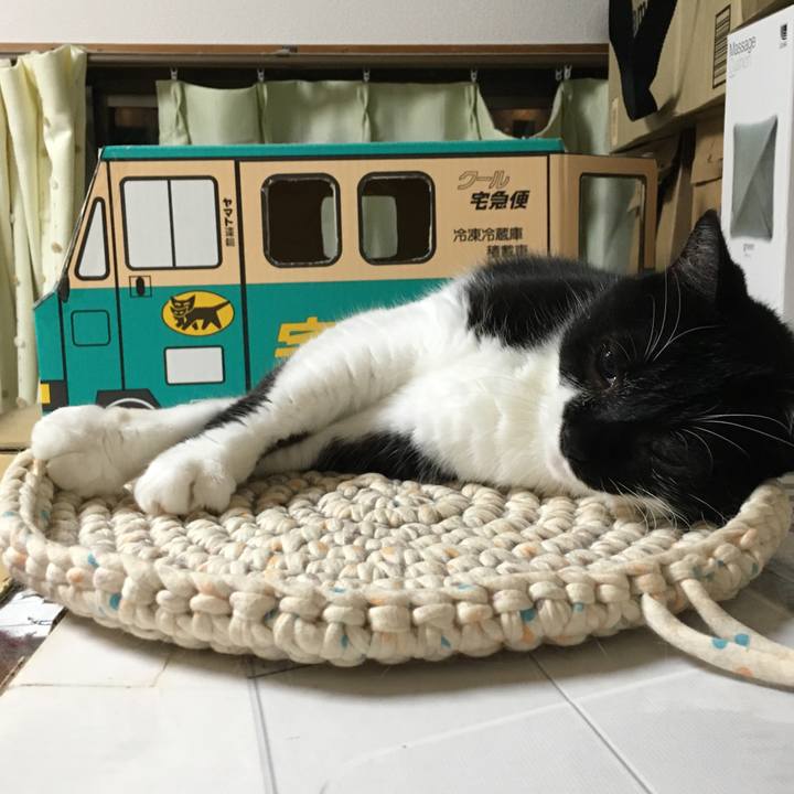 62712cc1 76f8 4bcb b64e 954aceac6541 1567680361330