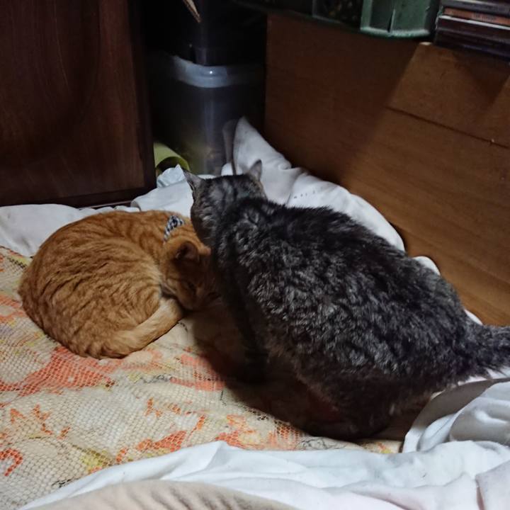 627140f5 6ade 43fd b957 df9355fd8a4b 1574079236056